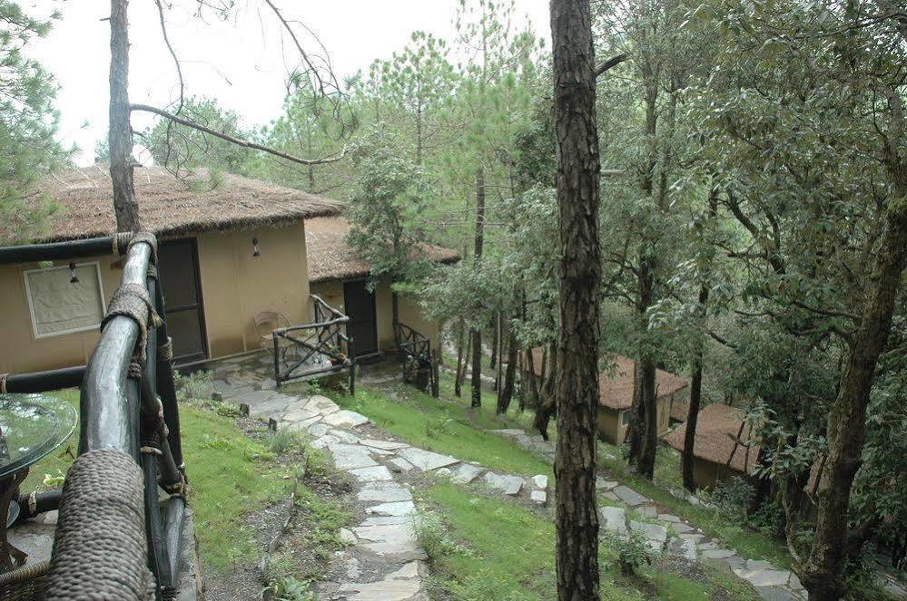 Aamod Resort Shimla Exterior photo