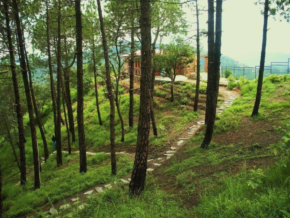 Aamod Resort Shimla Exterior photo