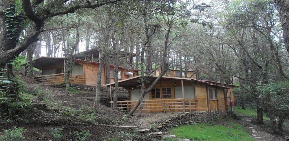 Aamod Resort Shimla Exterior photo